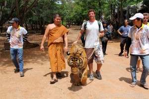 Walking a Tiger @ Tiger Temple