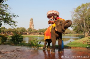Ride an Elephant - Ayutthaya