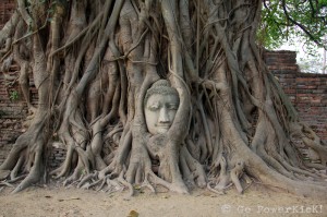 Wat Mahathat - Ayutthaya